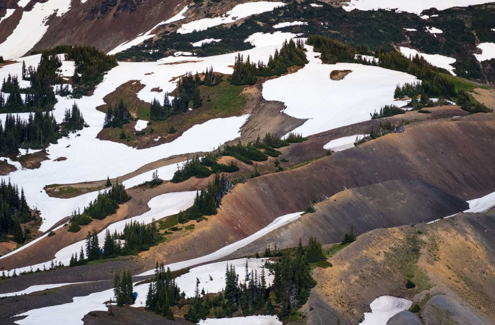 NATURE HEADER IMAGE